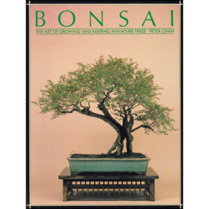 Bonsai - The art of growing and keeping miniature trees
